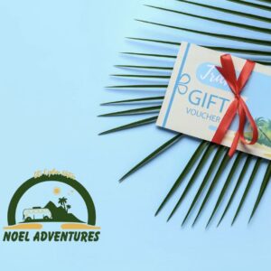 Noel Adventures Gift Voucher